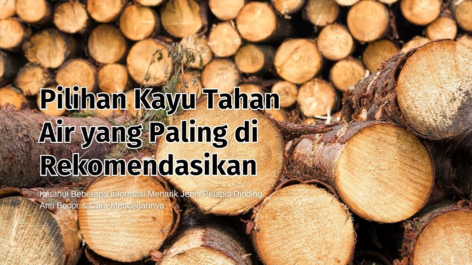6 Pilihan Kayu Tahan Air yang Paling di Rekomendasikan 